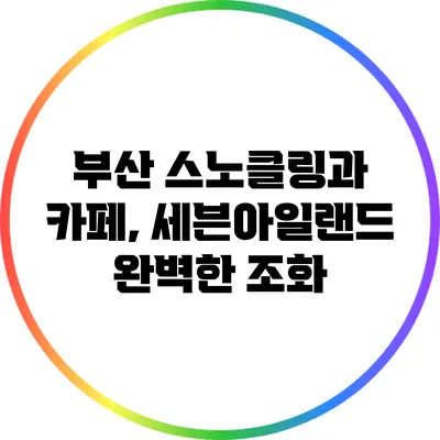 부산 스노클링과 카페, 세븐아일랜드 완벽한 조화