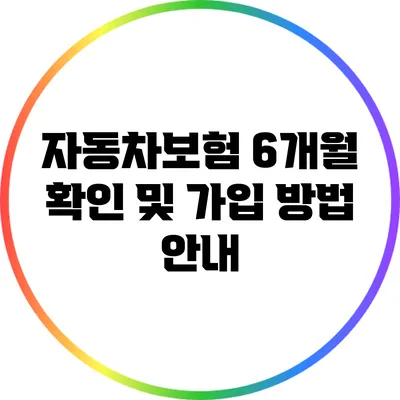 자동차보험 6개월 확인 및 가입 방법 안내