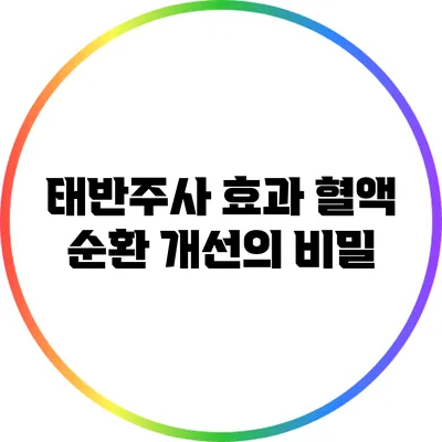 태반주사 효과: 혈액 순환 개선의 비밀