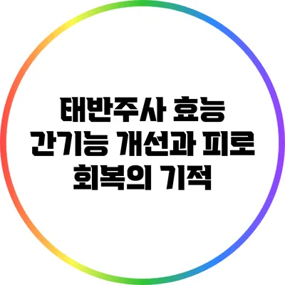 태반주사 효능: 간기능 개선과 피로 회복의 기적