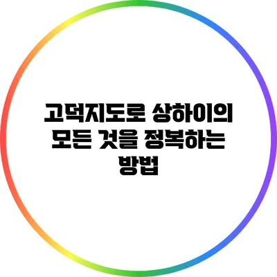 고덕지도로 상하이의 모든 것을 정복하는 방법