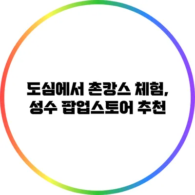 도심에서 촌캉스 체험, 성수 팝업스토어 추천