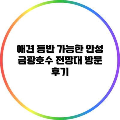 애견 동반 가능한 안성 금광호수 전망대 방문 후기