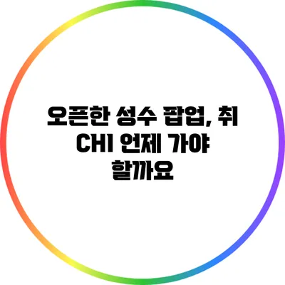 오픈한 성수 팝업, 취 CHI: 언제 가야 할까요?