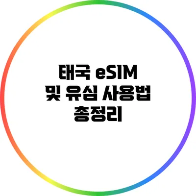 태국 eSIM 및 유심 사용법 총정리