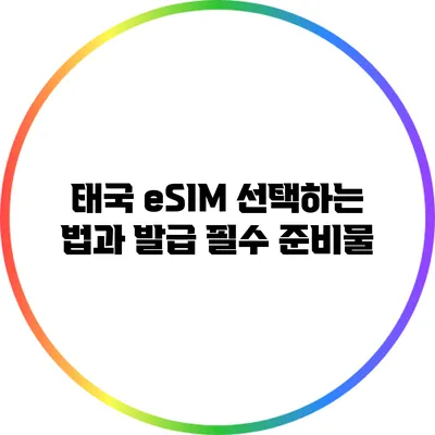 태국 eSIM 선택하는 법과 발급 필수 준비물