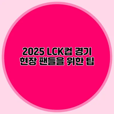 2025 LCK컵 경기 현장 팬들을 위한 팁