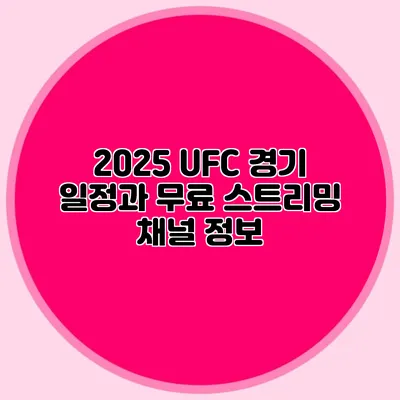 2025 UFC 경기 일정과 무료 스트리밍 채널 정보