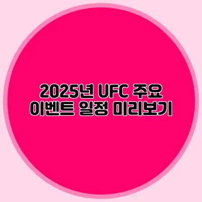 2025년 UFC 주요 이벤트 일정 미리보기