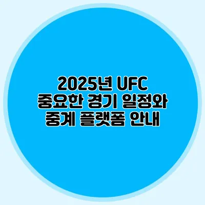 2025년 UFC 중요한 경기 일정와 중계 플랫폼 안내
