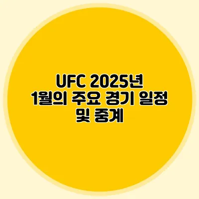 UFC 2025년 1월의 주요 경기 일정 및 중계