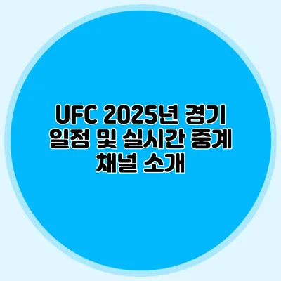 UFC 2025년 경기 일정 및 실시간 중계 채널 소개