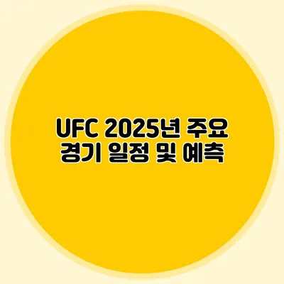 UFC 2025년 주요 경기 일정 및 예측