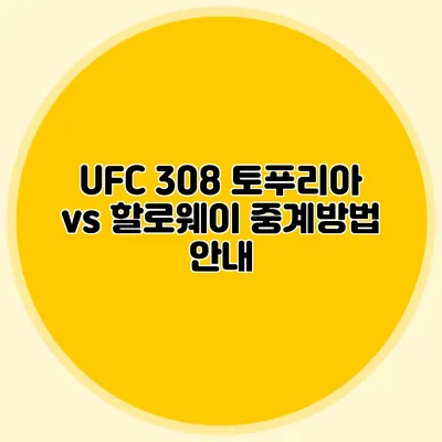 UFC 308 토푸리아 vs 할로웨이 중계방법 안내