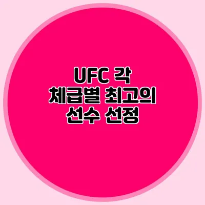 UFC 각 체급별 최고의 선수 선정