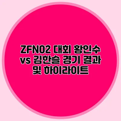 ZFN02 대회 황인수 vs 김한슬 경기 결과 및 하이라이트