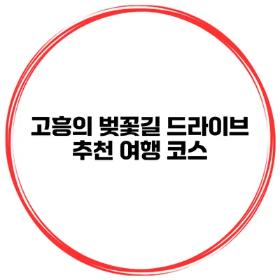 고흥의 벚꽃길 드라이브 추천 여행 코스