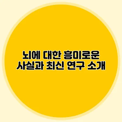 뇌에 대한 흥미로운 사실과 최신 연구 소개