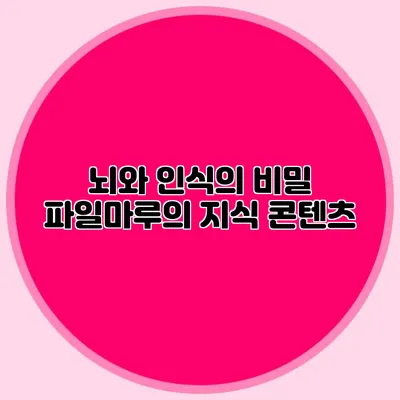 뇌와 인식의 비밀 파일마루의 지식 콘텐츠