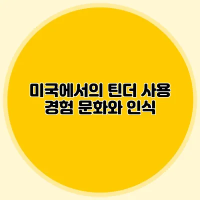 미국에서의 틴더 사용 경험 문화와 인식