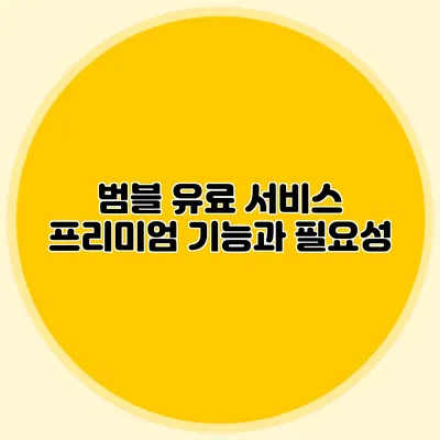 범블 유료 서비스 프리미엄 기능과 필요성