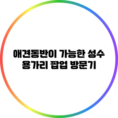 애견동반이 가능한 성수 용가리 팝업 방문기