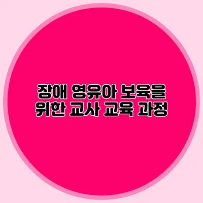 장애 영유아 보육을 위한 교사 교육 과정