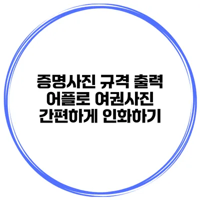 증명사진 규격 출력 어플로 여권사진 간편하게 인화하기
