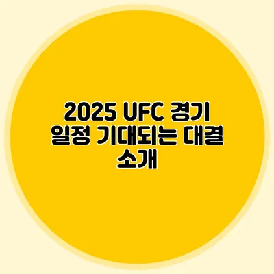 2025 UFC 경기 일정 기대되는 대결 소개