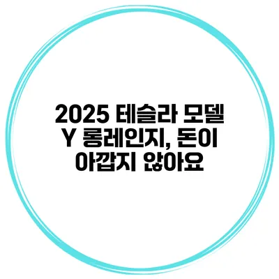 2025 테슬라 모델 Y 롱레인지, 돈이 아깝지 않아요