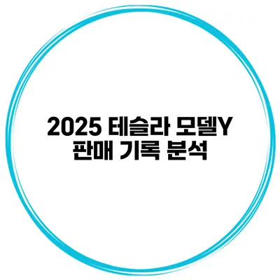2025 테슬라 모델Y 판매 기록 분석