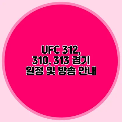 UFC 312, 310, 313 경기 일정 및 방송 안내