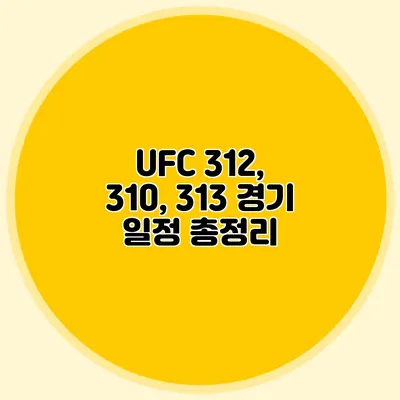 UFC 312, 310, 313 경기 일정 총정리