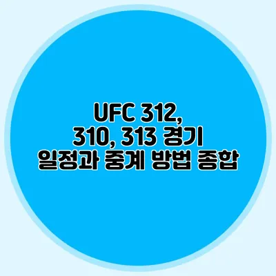 UFC 312, 310, 313 경기 일정과 중계 방법 종합