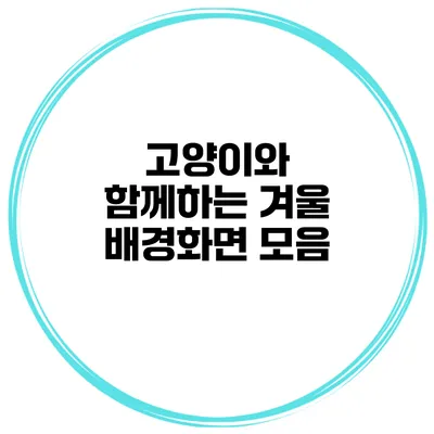 고양이와 함께하는 겨울 배경화면 모음