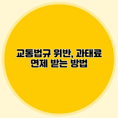 교통법규 위반, 과태료 면제 받는 방법