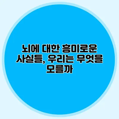 뇌에 대한 흥미로운 사실들, 우리는 무엇을 모를까?