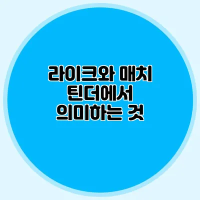 라이크와 매치 틴더에서 의미하는 것