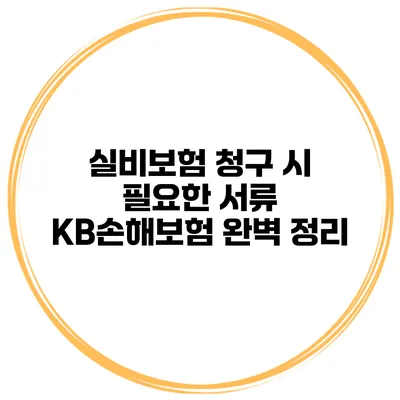 실비보험 청구 시 필요한 서류 KB손해보험 완벽 정리