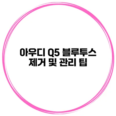 아우디 Q5 블루투스 제거 및 관리 팁