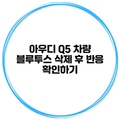 아우디 Q5 차량 블루투스 삭제 후 반응 확인하기