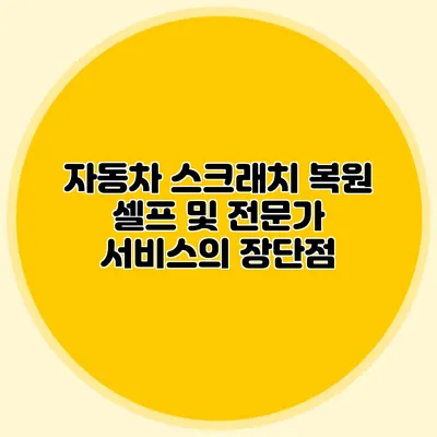 자동차 스크래치 복원 셀프 및 전문가 서비스의 장단점