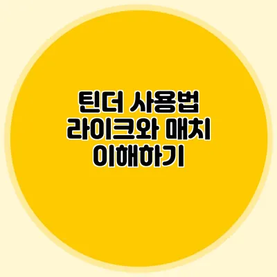 틴더 사용법 라이크와 매치 이해하기