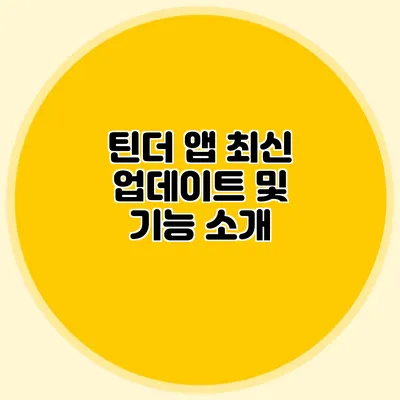 틴더 앱 최신 업데이트 및 기능 소개