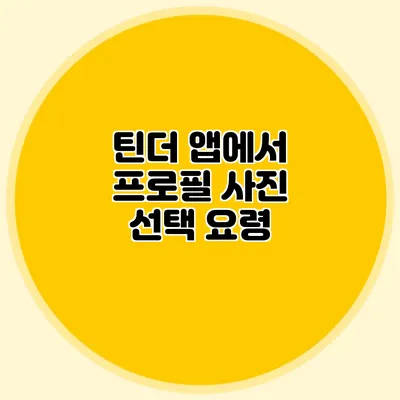 틴더 앱에서 프로필 사진 선택 요령