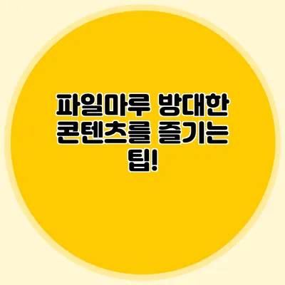 파일마루 방대한 콘텐츠를 즐기는 팁!
