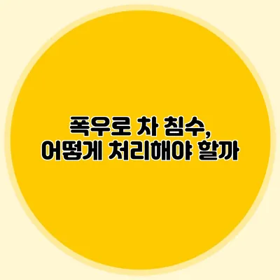 폭우로 차 침수, 어떻게 처리해야 할까?